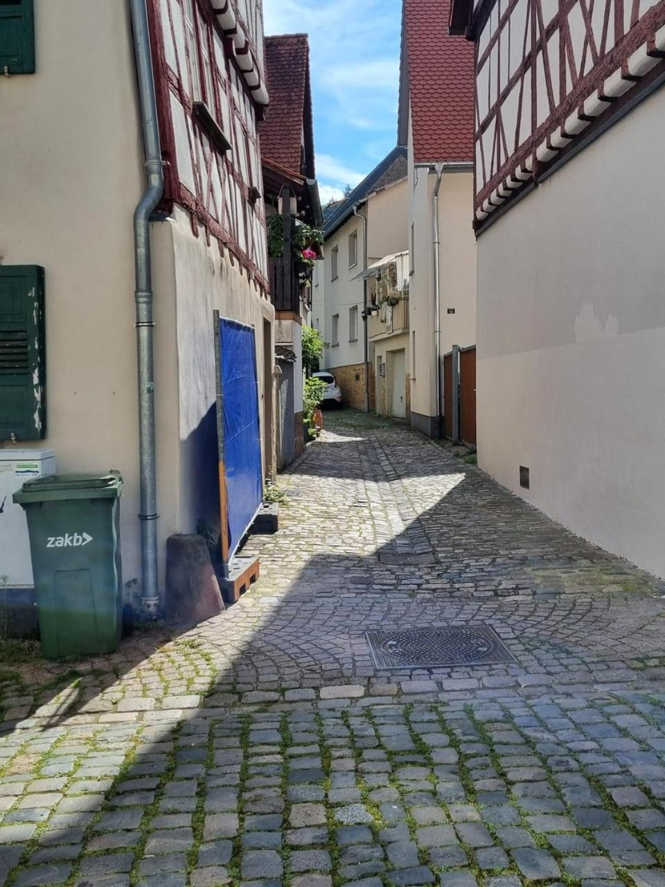Ferienwohnung Heppenheim An Der Bergstrasse Whg 1 Экстерьер фото